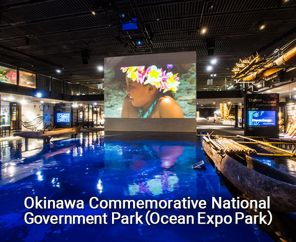 video projection in oceanic culture museum and planetarium